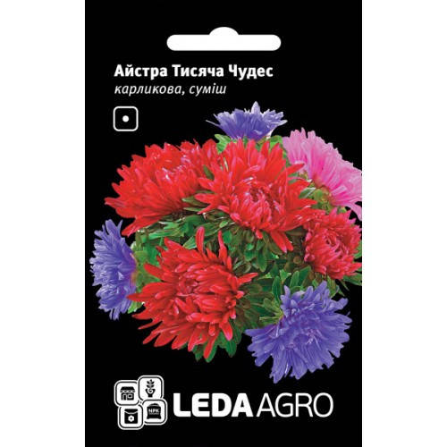 

Семена Астра карликовая Тисяча чудес смесь 0,2г LEDAAGRO