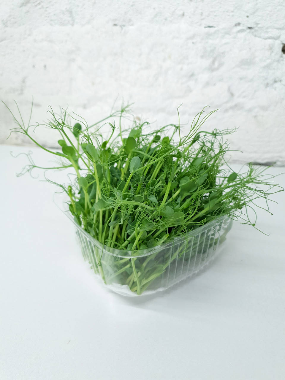 

Микрогрин ГОРОХ - 50 грам. ТМ Green CAT