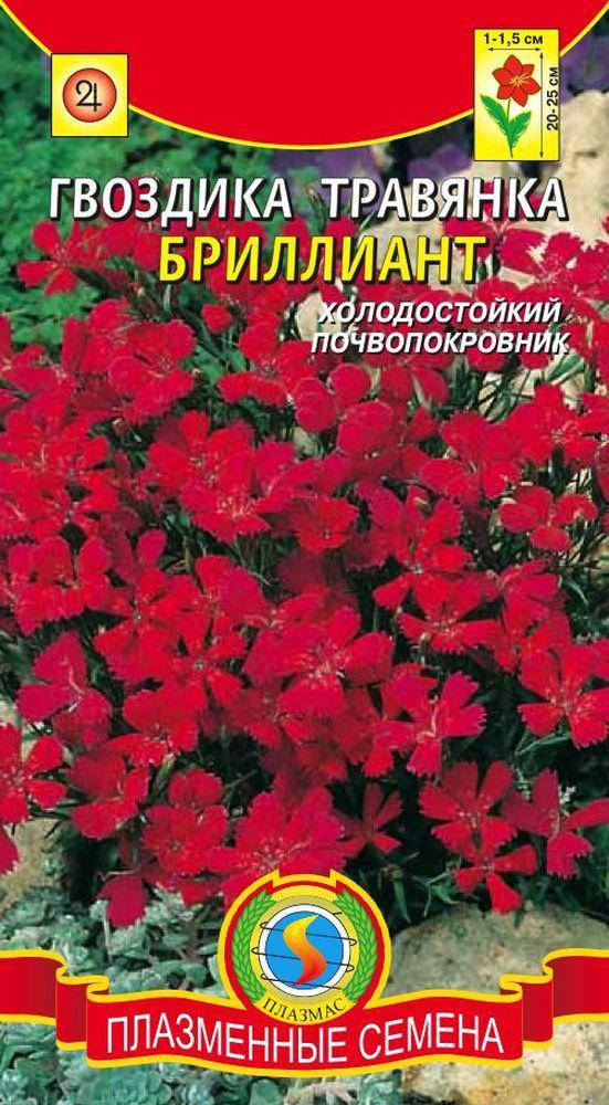 

Гвоздика травянка Бриллиант 0,1 г (Плазменные семена)