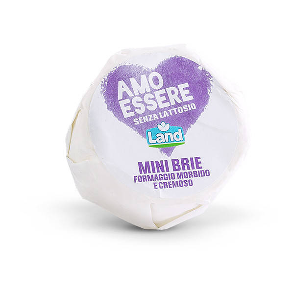 

Сыр Brie Amo Essere безлактозный 150гр