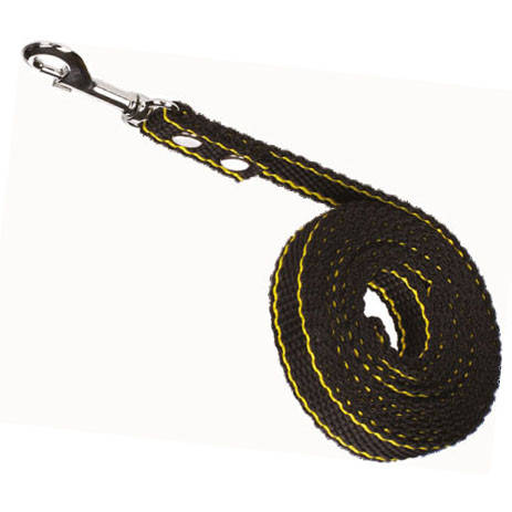 

Поводок нейлон для собак. Нейлоновые поводки для собак 2 метра, 20 мм, Черный