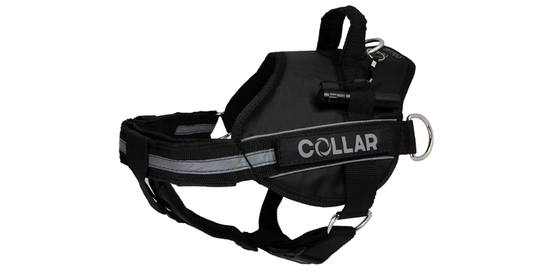 

CoLLar Шлея Dog Extremе "Police" №4 с фонариком (0707)