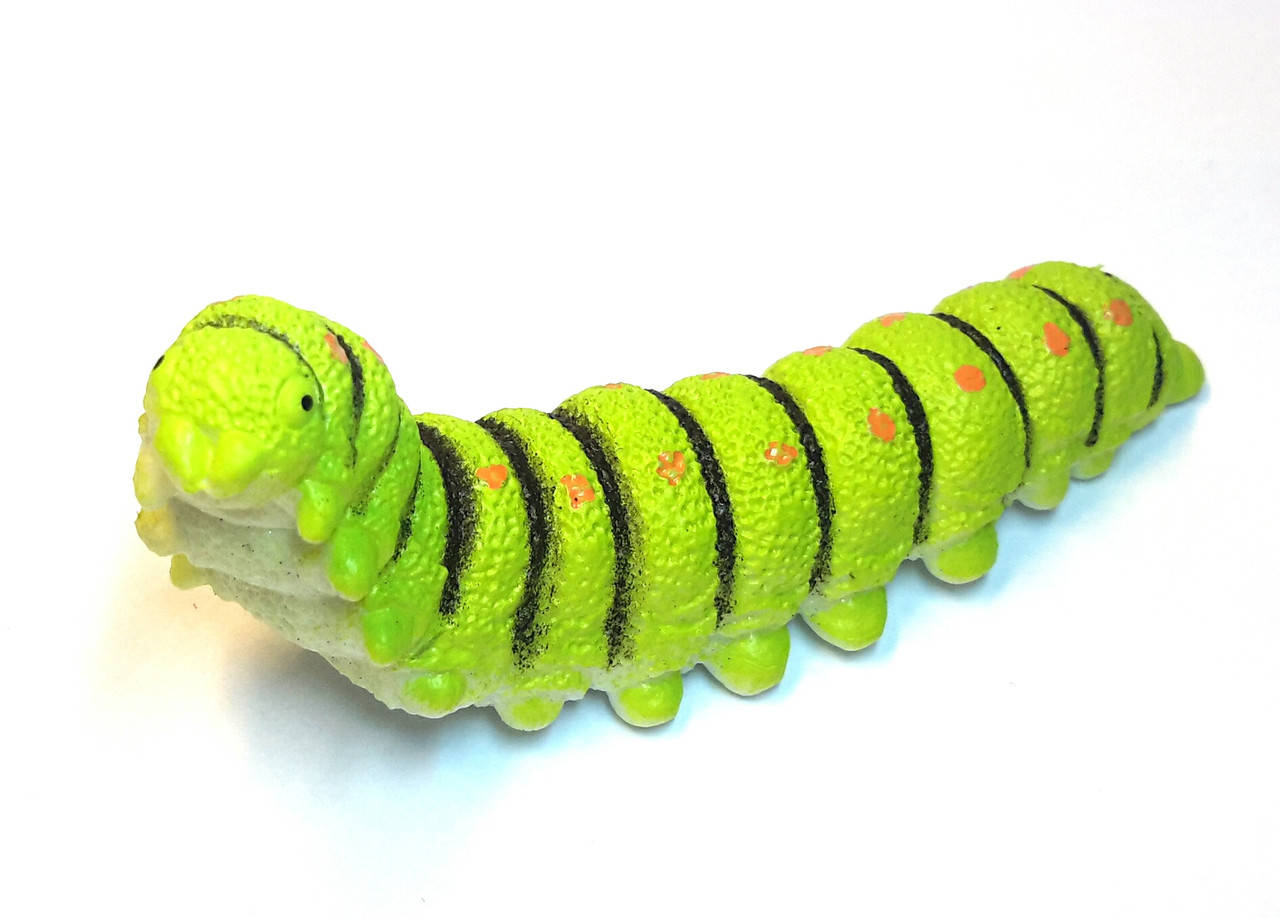 

Лизун гусень слим