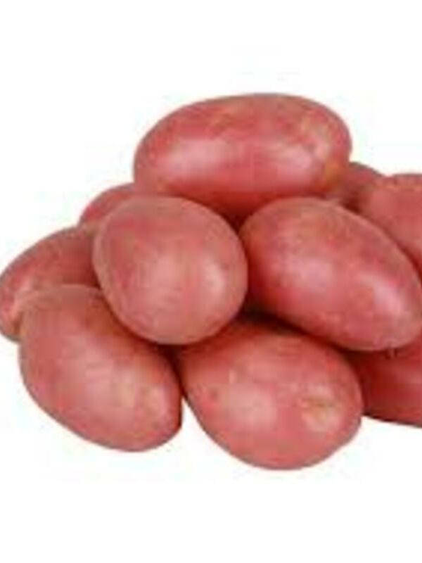 

Семенной картофель Ред Леди 5 кг (1 репродукция)