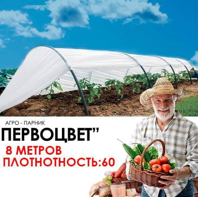 

Парник 8 м 50 щільність (первоцвіт), Белый