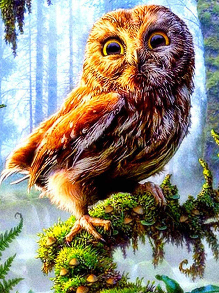 

Алмазная Мозаика Сова в Лесу Набор Вышивка Камнями DIY-4134 30x40 см (Полная Выкладка)