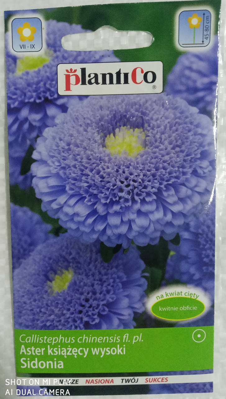 

Айстра фіолетова висока герцогська 1 гр."PLANTICO" Польща, Фиолетовый