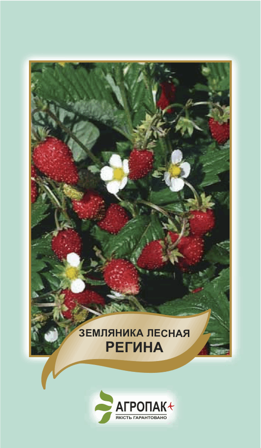 

Семена земляника лесная Регина 0,1г. Агропак плюс