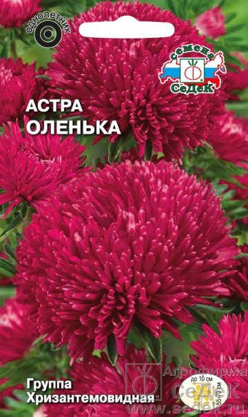 

Семена Астра хризантемовидная Оленька 0,25 грамма Седек, Малиновый