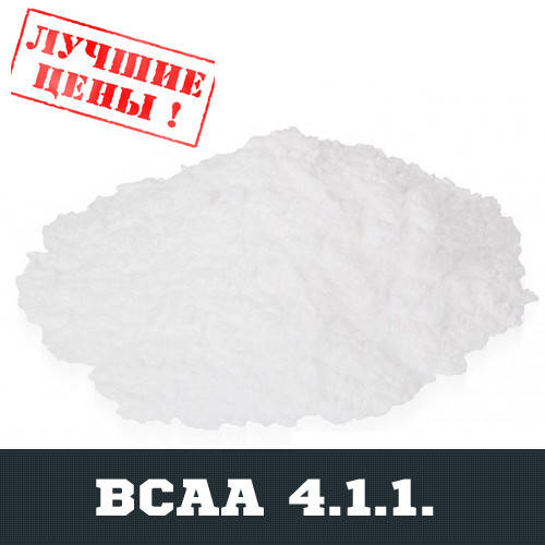 

BCAA 4:1:1, 100г