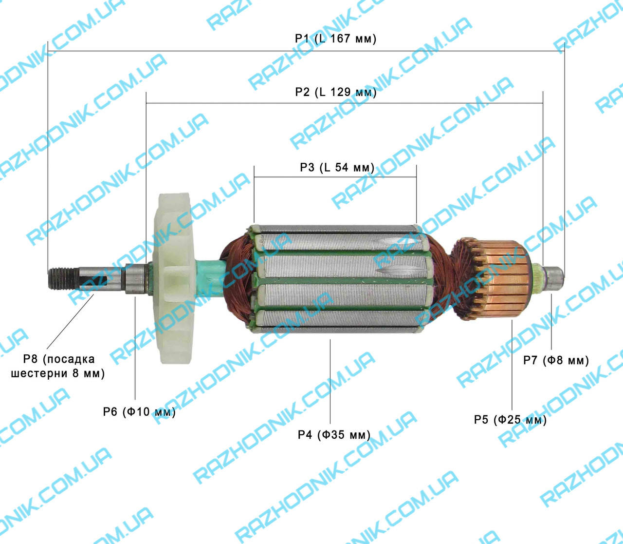 

Якорь на болгарку Интерскол УШМ-125/900