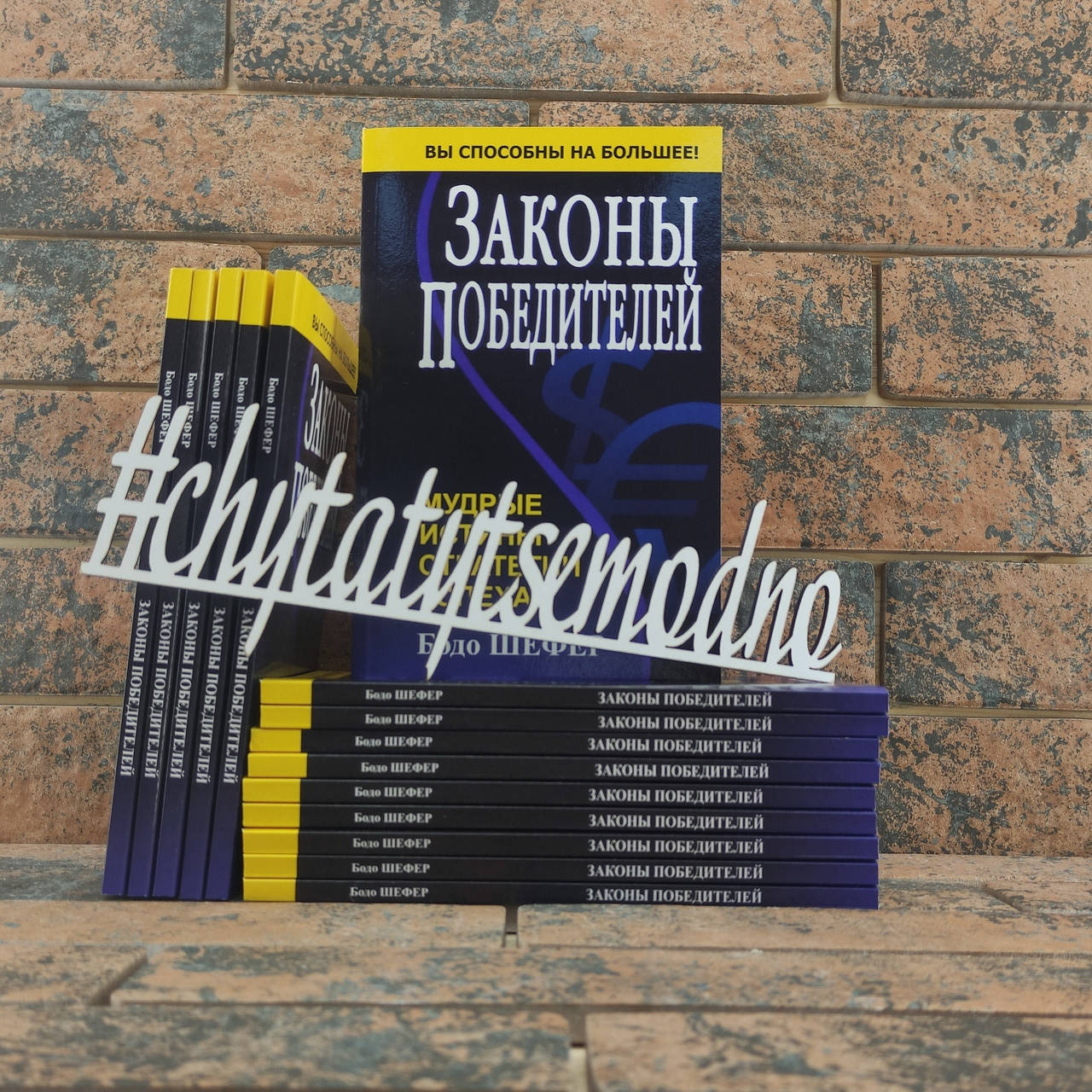 

Бодо Шефер Законы победителей