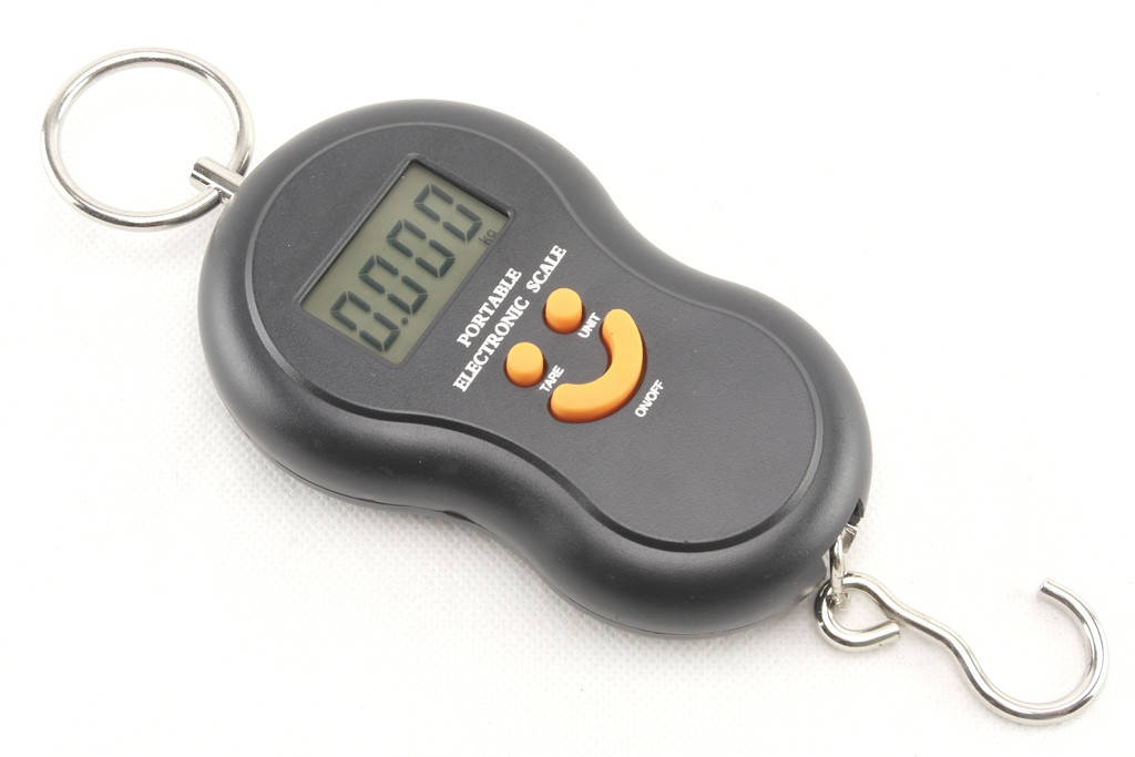 

Весы электронные Rainberg RB603 кантор безмен до 50кг