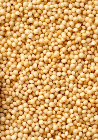 

Амарант пищевой (семена 2 г)