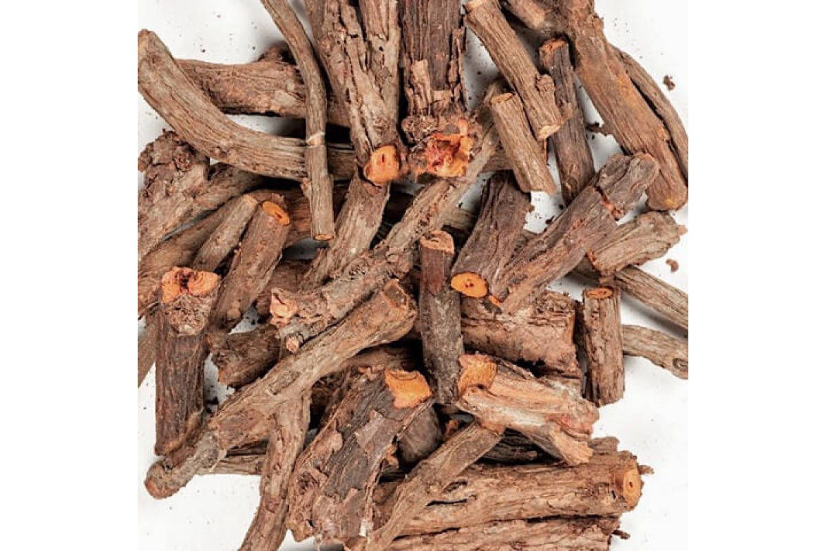 Марены красильной (rubia tinctorum). Корневища и корни марены. Марена красильная трава. Корневища марены. Корневища марены красильной.