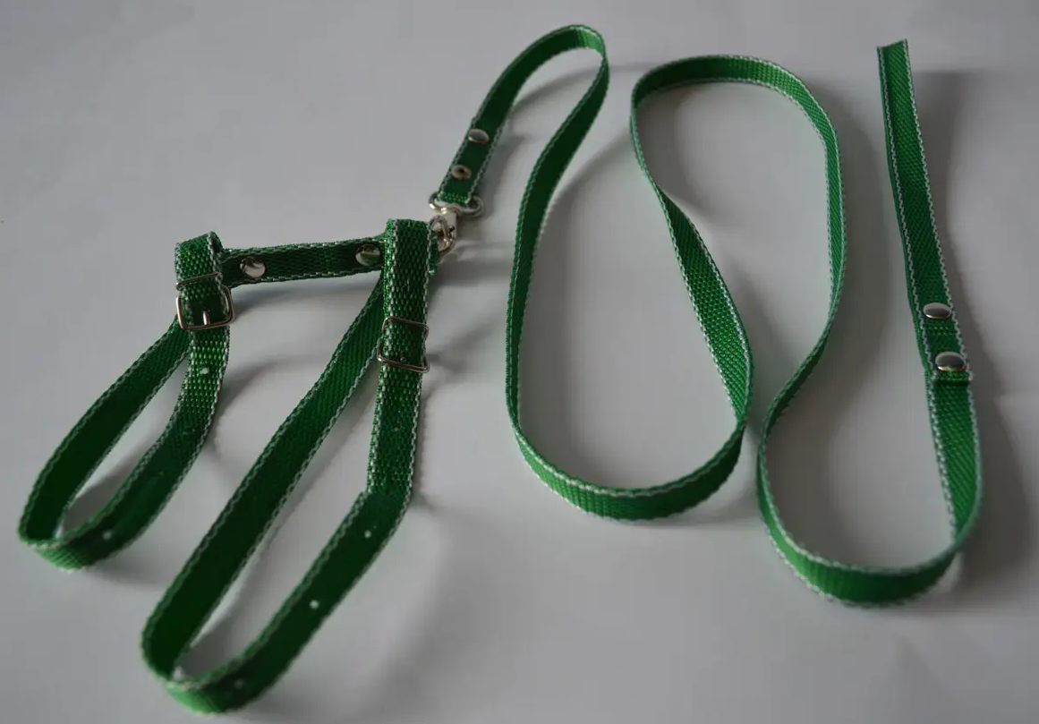 

Шлея перемычка + поводок капрон зеленый 19-34см/26-48см/130см FRANTY 103003-3, Зелёный