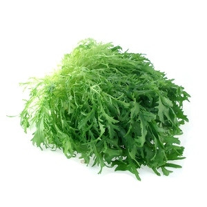 Салат Фрізе 1 кг свіжий