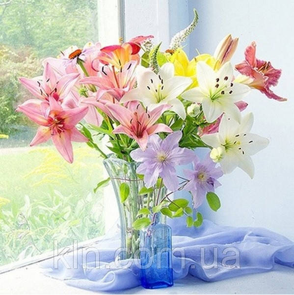 Лілії Лілії