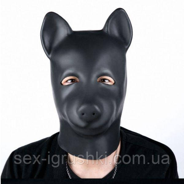 Natural Latex Molding Dog Hood