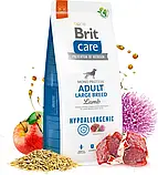 Корм для собак великих порід Brit Care Dog Hypoallergenic Adult Large Breed гіпоалергенний з ягням 1 кг, фото 2