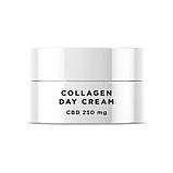 Денний крем Mikka Collagen Moisturizer 250 мг КБД (50 мл), фото 2