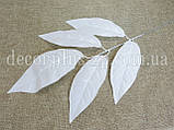 Гілочка з листям манго., фото 3