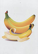 Овочі, фрукти, ягоди. Демонстраційні картки. Серія «Дітям про все на світі», фото 8