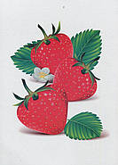 Овочі, фрукти, ягоди. Демонстраційні картки. Серія «Дітям про все на світі», фото 10