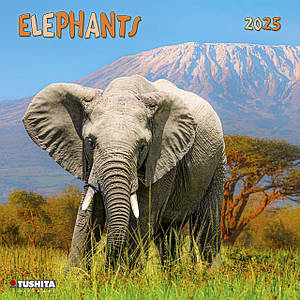 Настінний календар 2025 рік. Elephant 2025