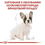 Сухий корм для цуценят Royal Canin French Bulldog Puppy породи Французький бульдог віком до 12 місяців 1кг, фото 5