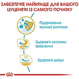 Сухий корм для цуценят Royal Canin French Bulldog Puppy породи Французький бульдог віком до 12 місяців 1кг, фото 4