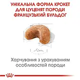 Сухий корм для цуценят Royal Canin French Bulldog Puppy породи Французький бульдог віком до 12 місяців 1кг, фото 7