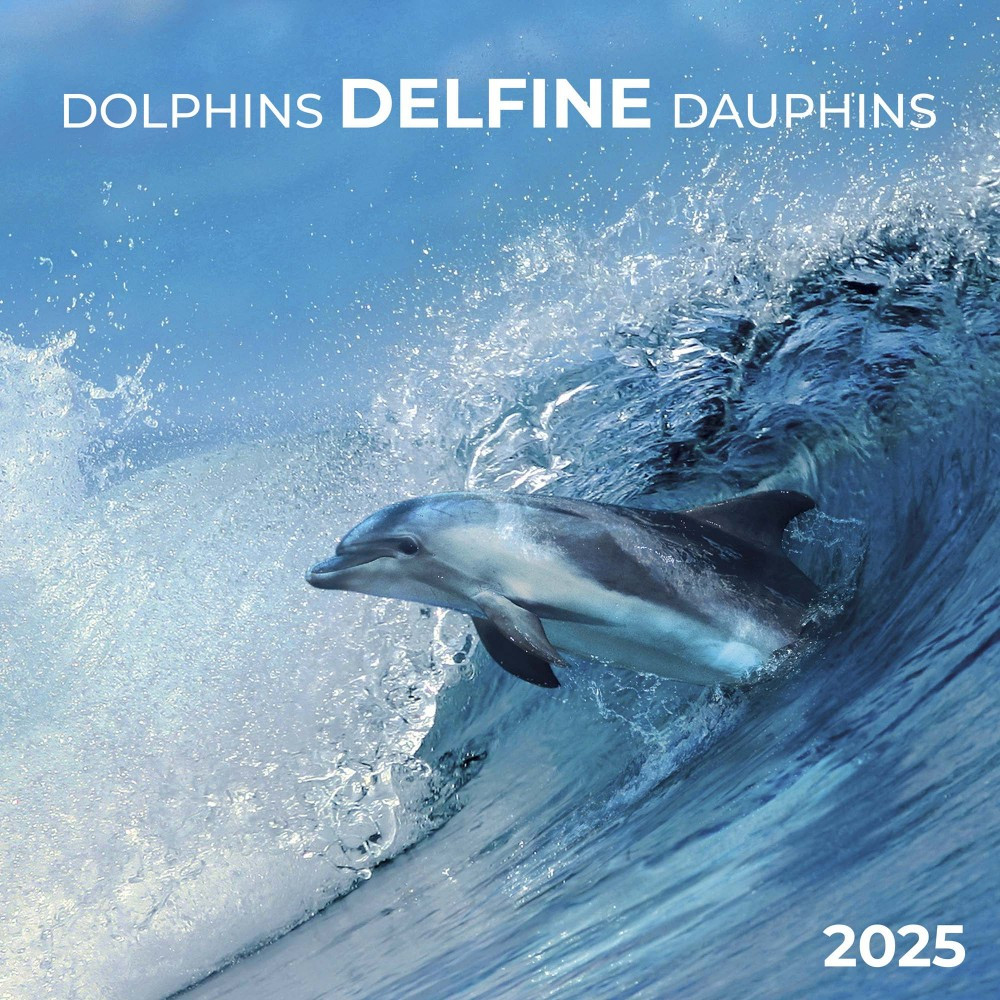 Настінний календар 2025 рік. Dolphins 2025