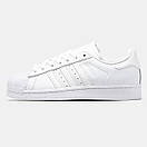 Кросівки чоловічі білі Adidas Superstar Triple White (16020), фото 2