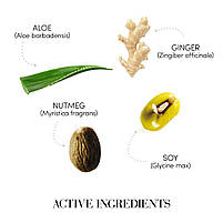 Лосьон себорегулюючий для шкіри голови Medavita REQUILIBRE Sebum-Balancing Scalp Lotion, фото 3