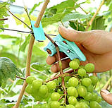 Секатор  на великий палець Новинка 2024 !, фото 3