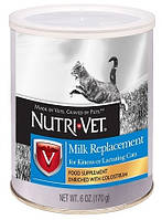 99877 Nutri-Vet Kitten Milk замінник котячого молока, 170 гр