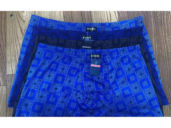 Боксери бамбук арт.101 2шт р.3XL ТМ CASTOM FG, фото 1