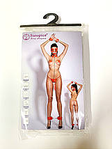 Комплект 6 предметів (наручники+маска+пестиси+нашийник з кляпом+труси+поножи) Sunspice, фото 3