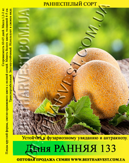 Насіння дині "Рання 133" 0.5 кг