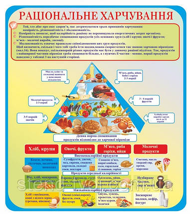 Інформаційний стенд для школи "Рацнєональне харчування", фото 2