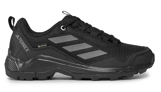 Кросівки Adidas Terrex Eastrail GTX 44.5 / 28.5cm / us-10.5 / uk-10, фото 1