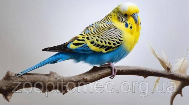 Джулия Энннің эротикалық фотосуреттері Алғаш рет анальный порно