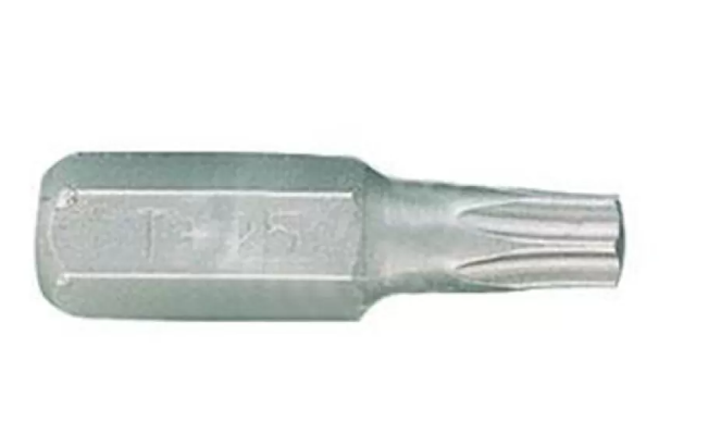 Біта WHIRLPOWER T30-25 (10 штук)
