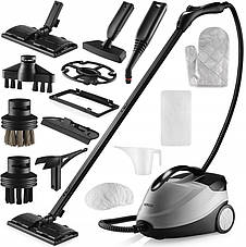 Пароочисники