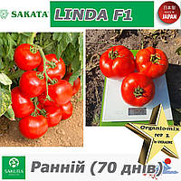 Томат ранній ЛІНДА F1 / LINDA F1, ТМ Sakata (Японія)