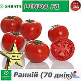 Томат ранній ЛІНДА F1 / LINDA F1, ТМ Sakata (Японія), фото 2