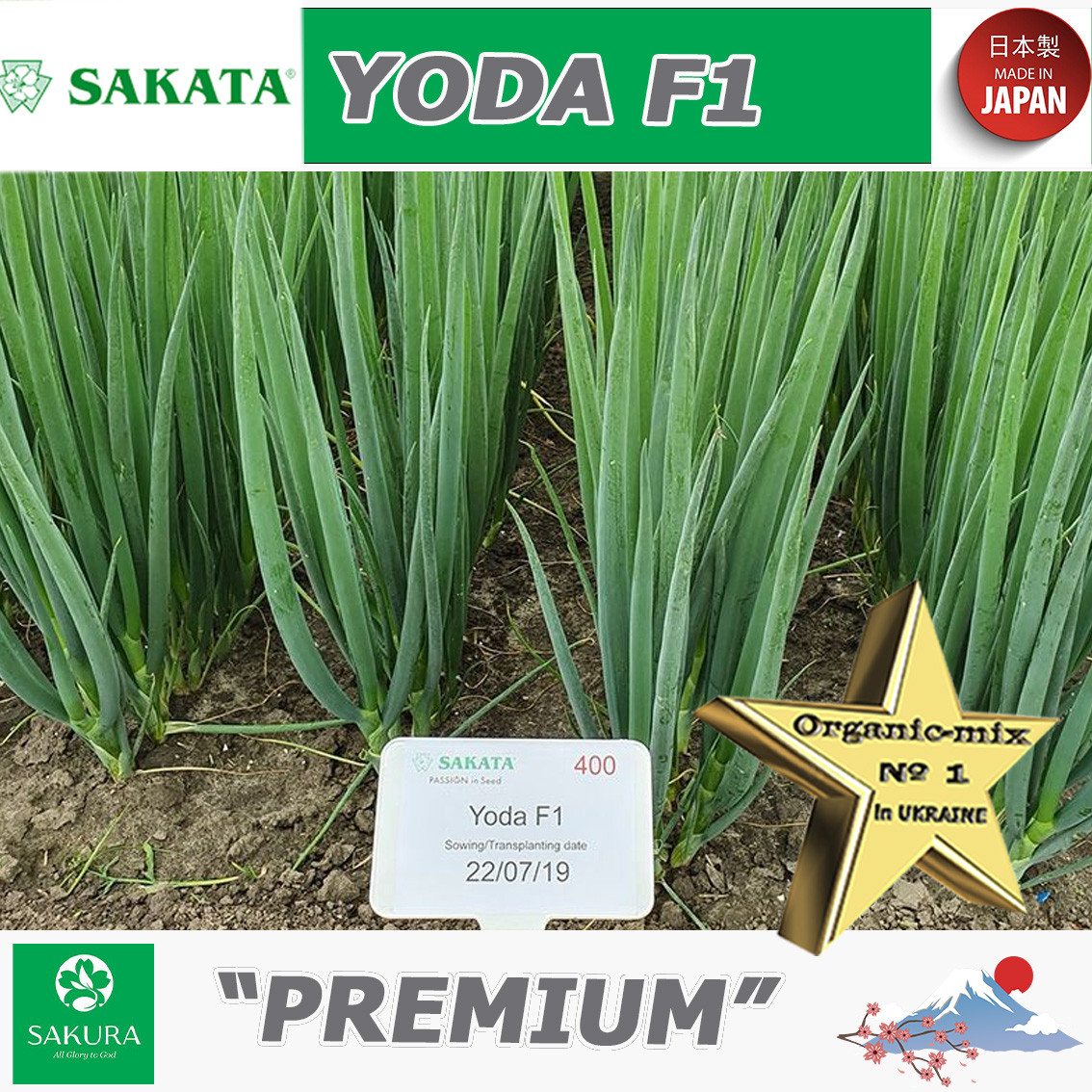 Цибуля на зелень (перо) ЙОДА F1 / YODA F1, ТМ Sakata (Японія), 100 000 насінин