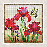 Алмазна мозаїка/вишивка Іриси з голограмними стразами 40*40 см Ідейка AMO 7650, фото 5