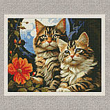 Алмазна мозаїка/вишивка Чарівні котики 30*40 см Ідейка AMO 7853, фото 2